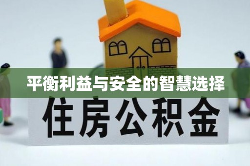临翔平衡利益与安全的智慧选择