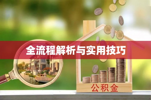 临翔全流程解析与实用技巧