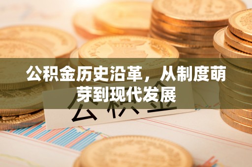 临翔公积金历史沿革，从制度萌芽到现代发展