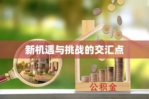 临翔新机遇与挑战的交汇点