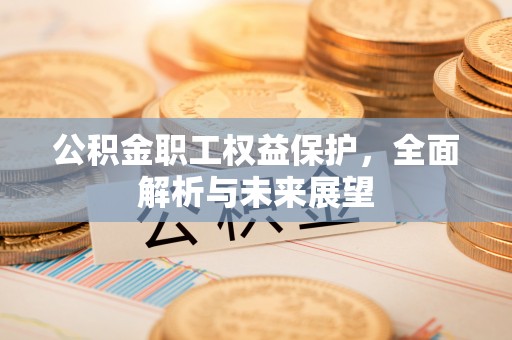 临翔公积金职工权益保护，全面解析与未来展望