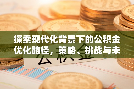 临翔探索现代化背景下的公积金优化路径，策略、挑战与未来展望