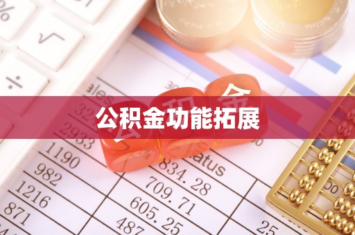 临翔公积金功能拓展