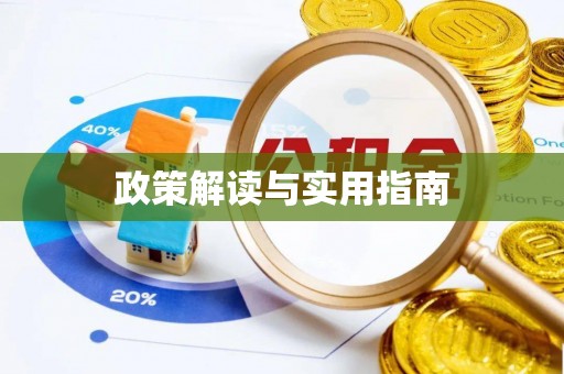 临翔政策解读与实用指南