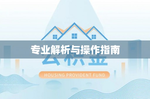 临翔专业解析与操作指南